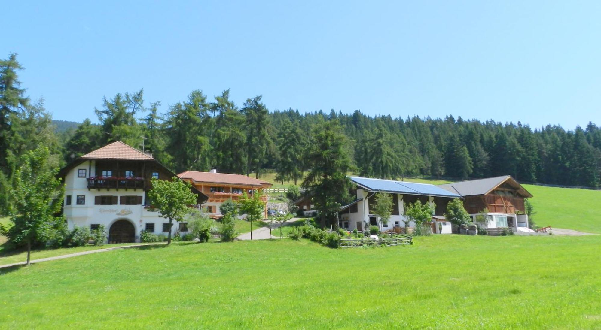 Laerchhof Villa Collalbo Ngoại thất bức ảnh